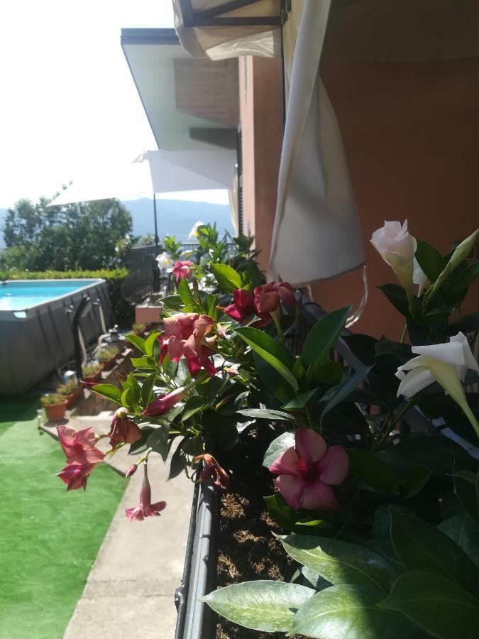 La Fontanella Apartment Polverara Eksteriør billede